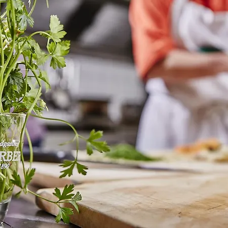 Πανσιόν Landgasthof Erber Zelking