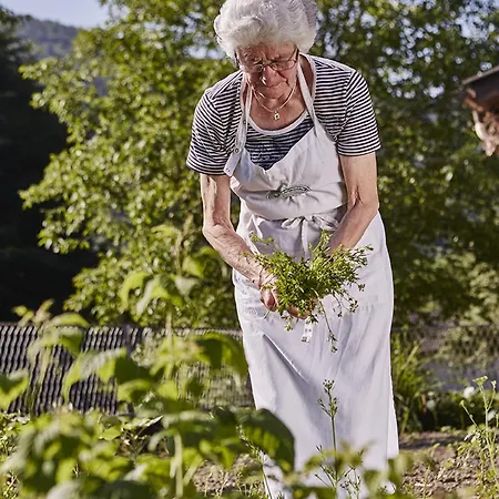ランドガストホフ エルバー 3*