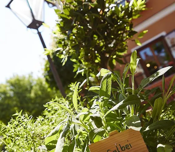 Landgasthof Erber Pensión 3*