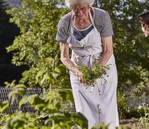 Landgasthof Erber 3* Zelking